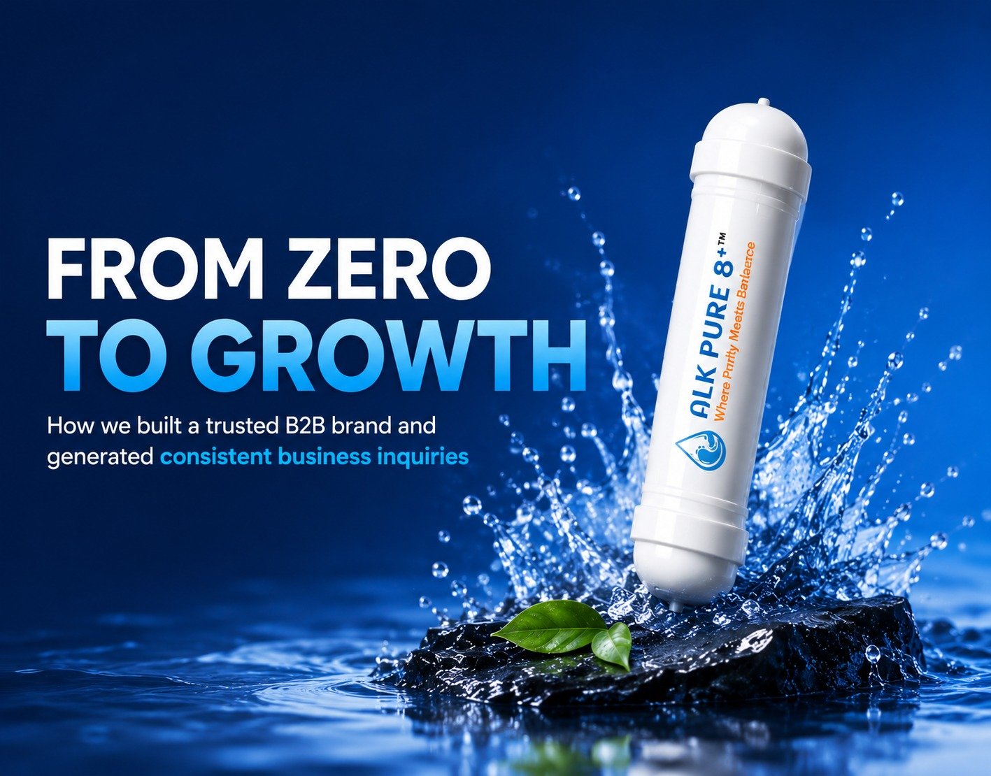Alkaline Water Brand Digital Growth Case Study